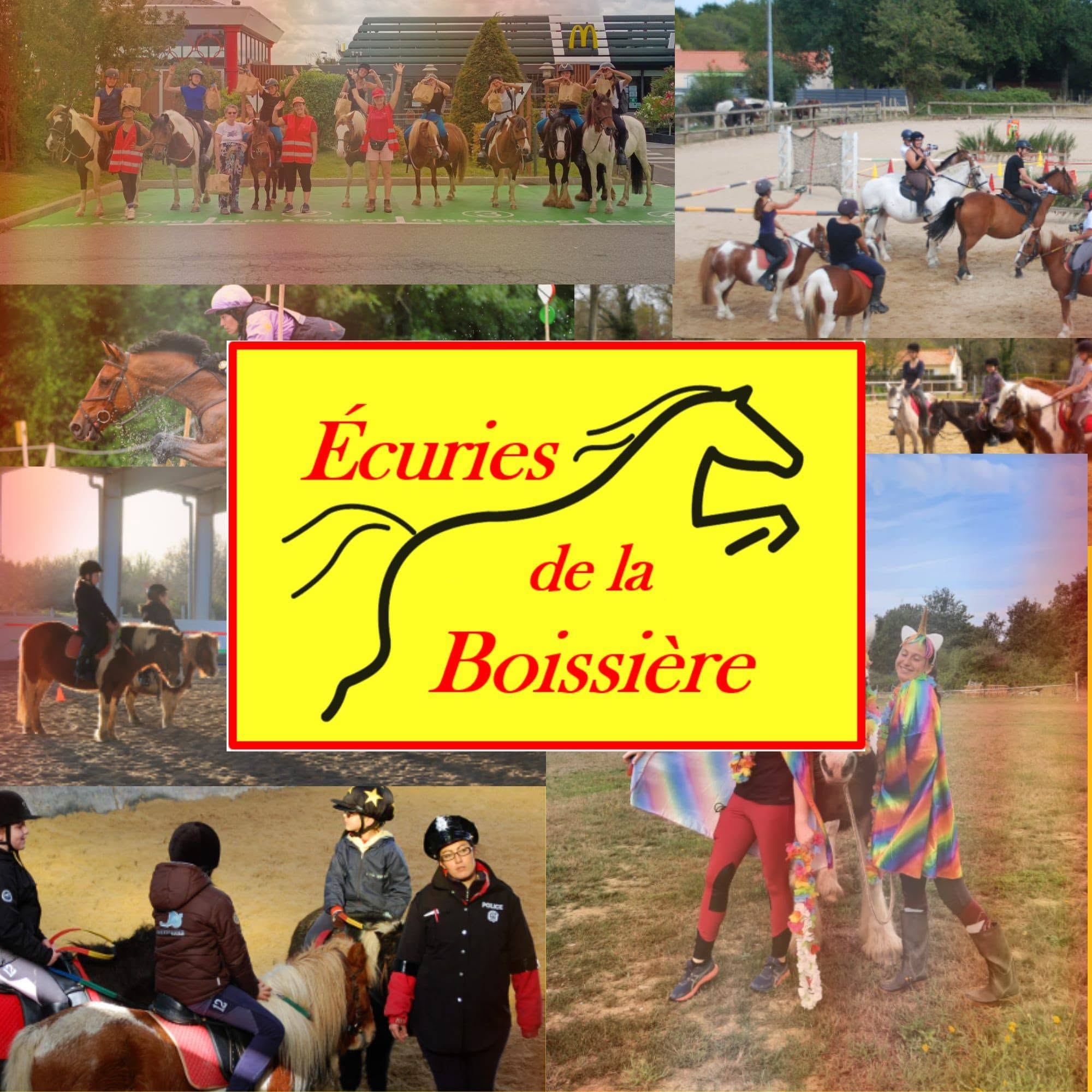 ecuries