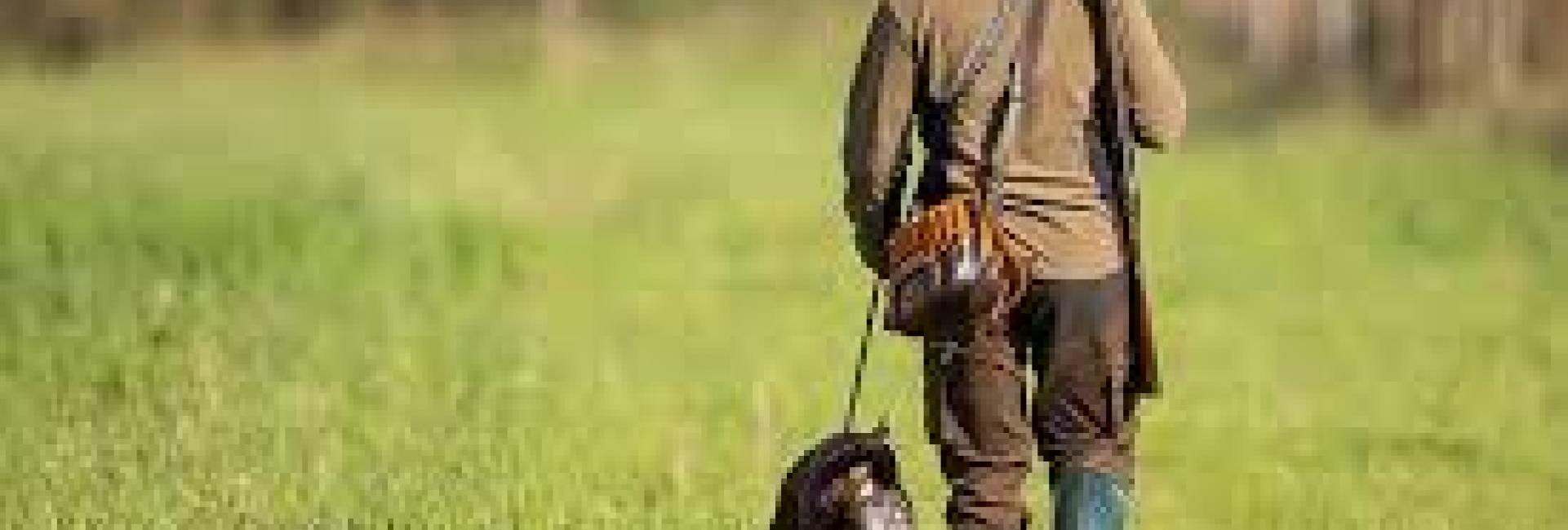 Chasse